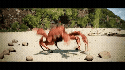 Crab Rave