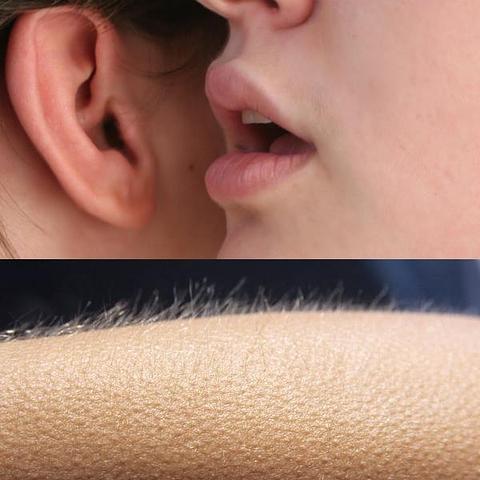 Whisper And Goosebumps